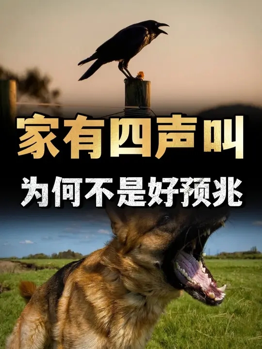 俗语“家有四声叫，不是好预兆”，是哪四声，有没有依据？ （2）