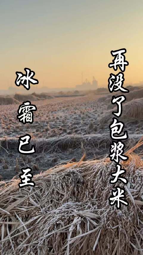 #五常大米# 天冷了，再没了胡扯的包浆大米～  ​​​