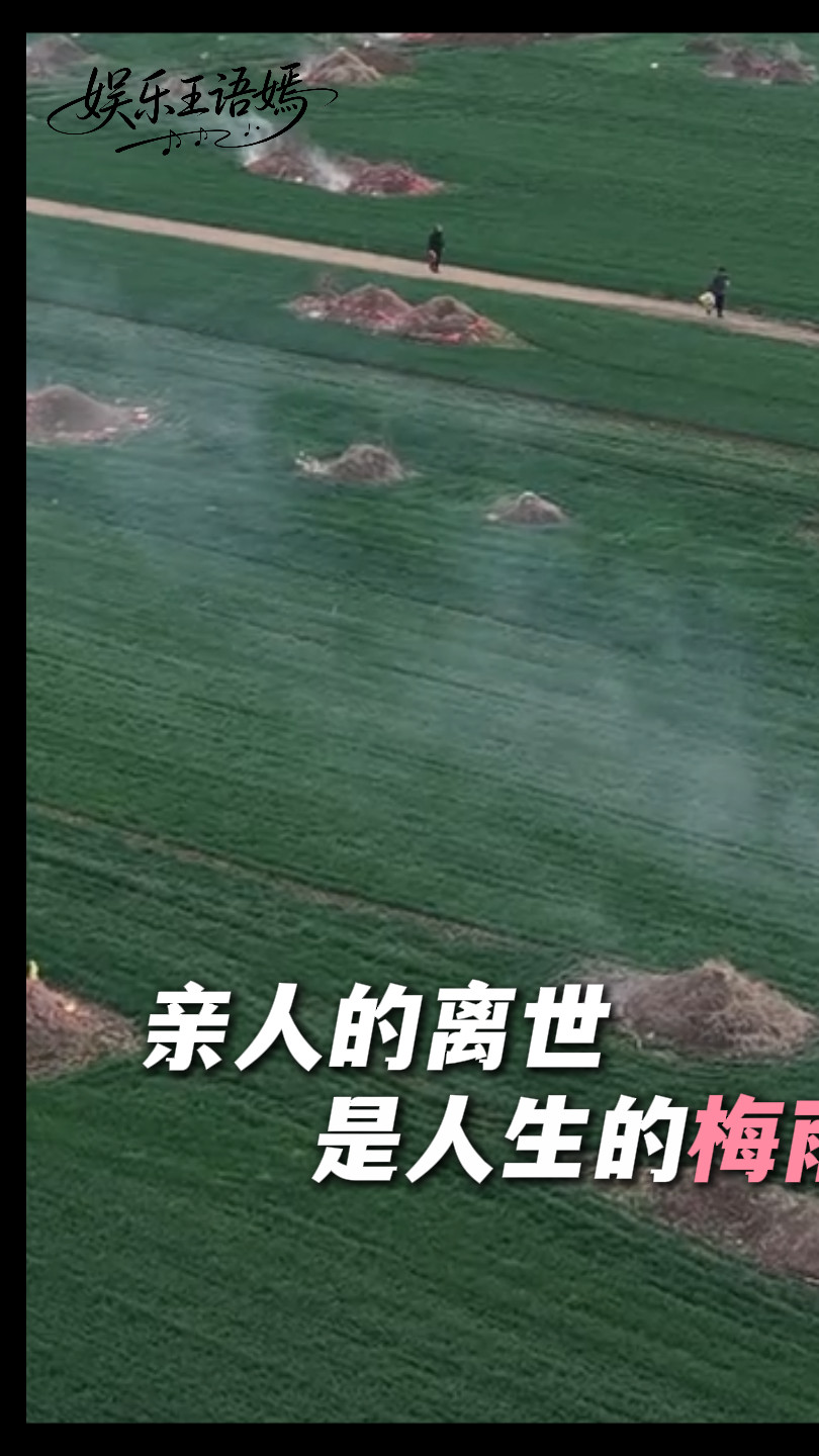 亲人的离世是人生的梅雨季