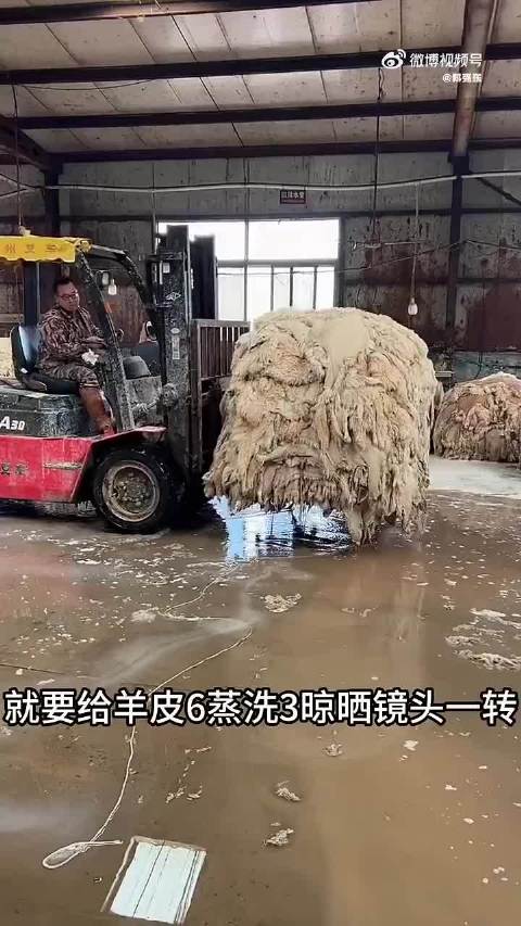 你知道一块粗糙的生羊皮是如何变成高端皮草的吗