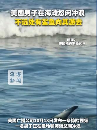 美国男子在海滩悠闲冲浪 不远处有鲨鱼向其游去