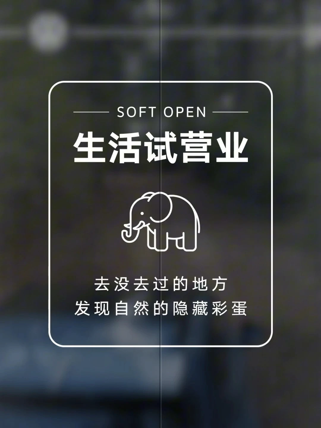 喜欢的生活就要大胆「试营业」