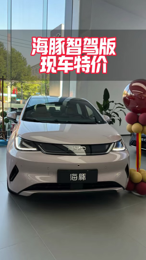 海豚智驾版特价清库中！！