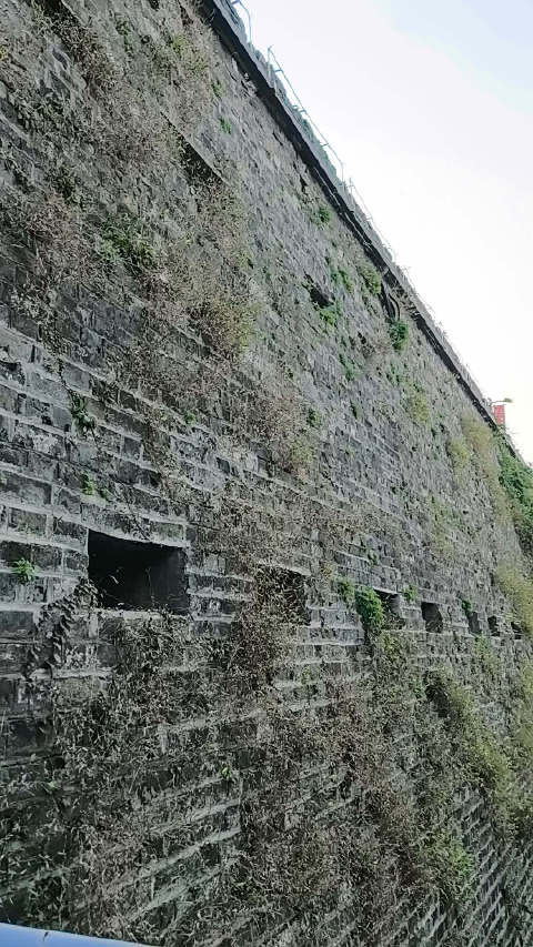 秋日里的明城墙和玄武湖，到台城书房读书品茶正合适