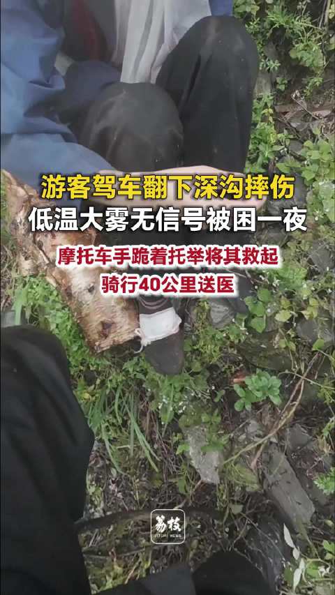 【#游客翻下深沟没信号低温被困1夜##车手回应大雾中听到山崖下喊救命#】近日，陕西宝鸡，太白县太洋公