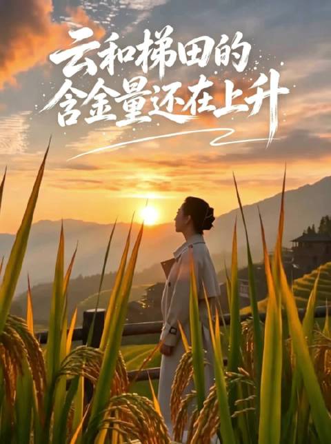 摄影人的秋日目的地，丽水云和梯田，十月限定秋色已上线