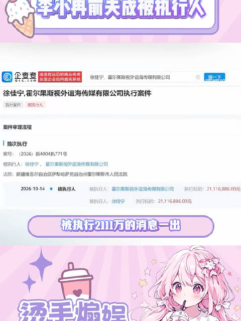 李小冉前夫徐佳宁成被执行人!执行标的超两千万,曾被曝去年离婚 ​