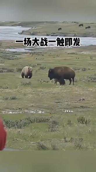 一场大战一触即发