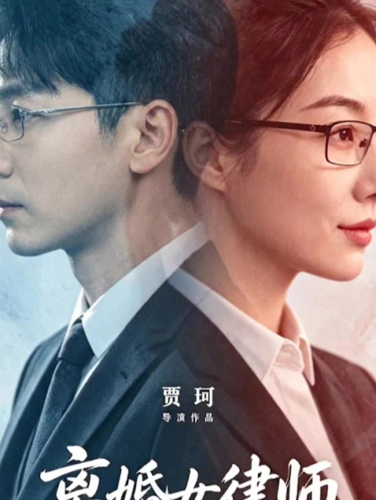 《离婚女律师》