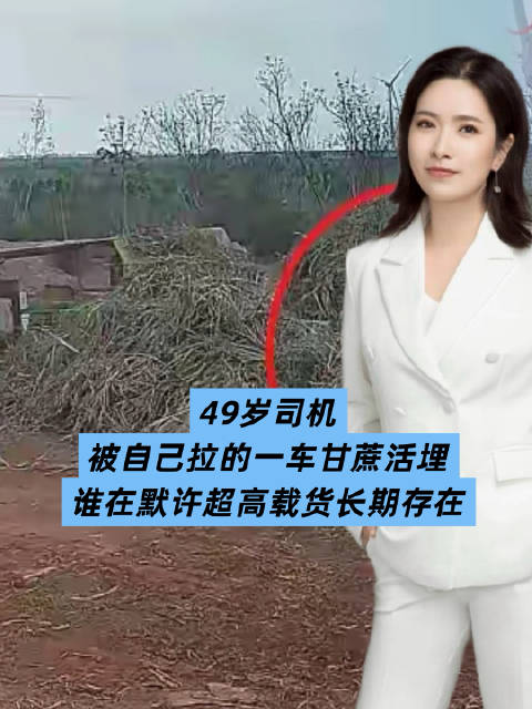 49岁司机被自己拉的一车甘蔗活埋！无合同无安全培训，谁在默许超高载货长期存在？