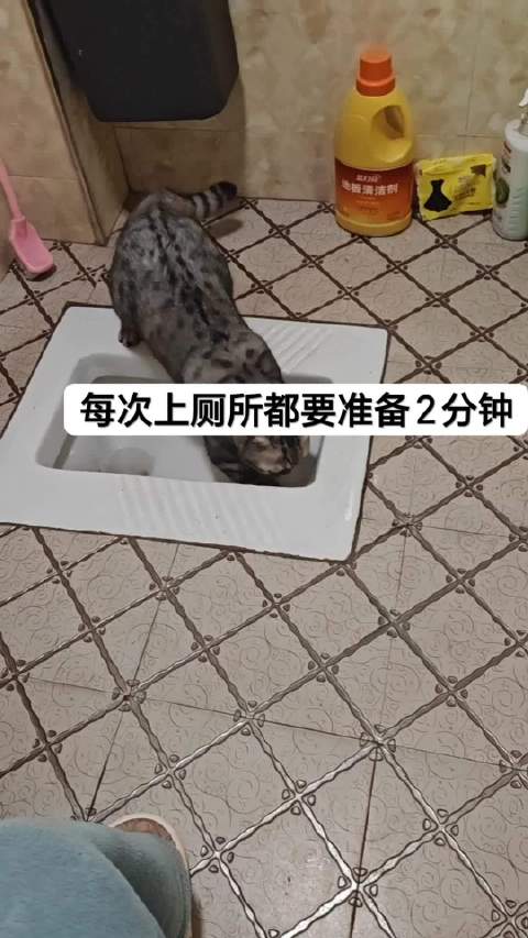 #荣耀magic9##magic9拍出阿莱电影感#