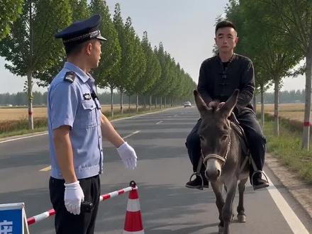 骑毛驴