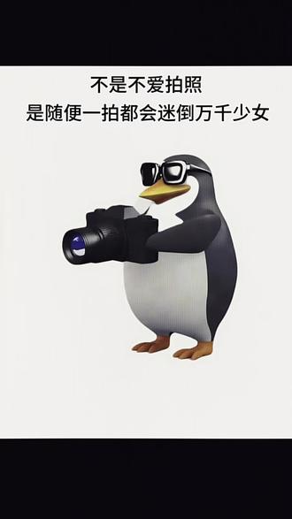 不是不爱拍照 是怕你们爱上我