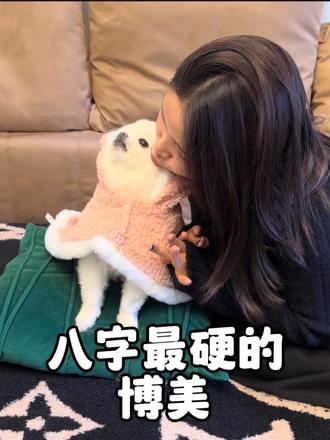 八字最硬的狗，历经几十次意外而不死，人送外号“鬼见愁”