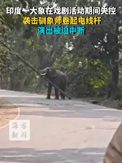 #印度大象失控袭击驯象师#  演出被迫中断据《印度时报》网站10月20日报道，当地时间10月18日