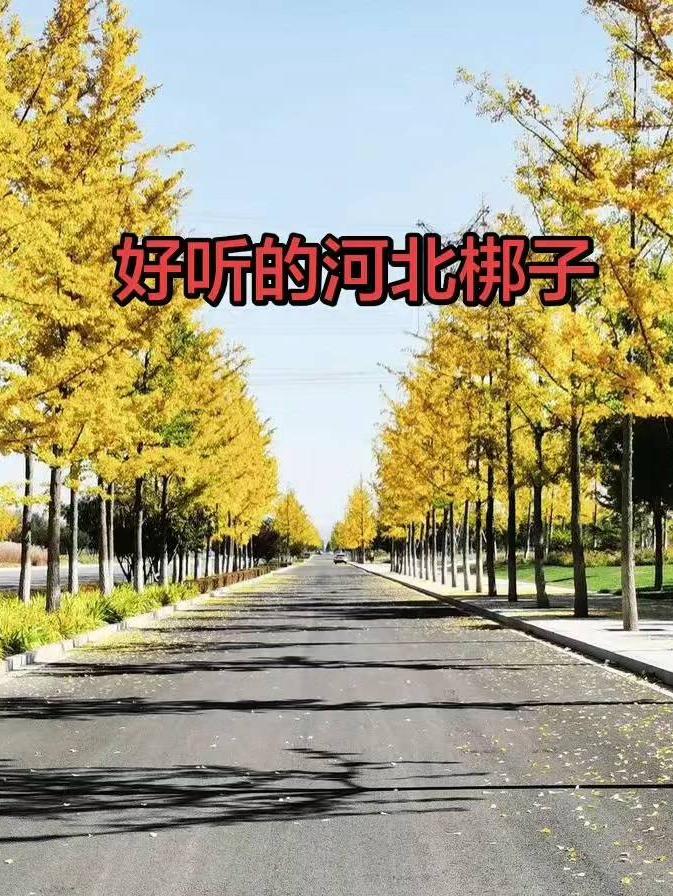 好听的河北梆子，要有一点戏剧爱好