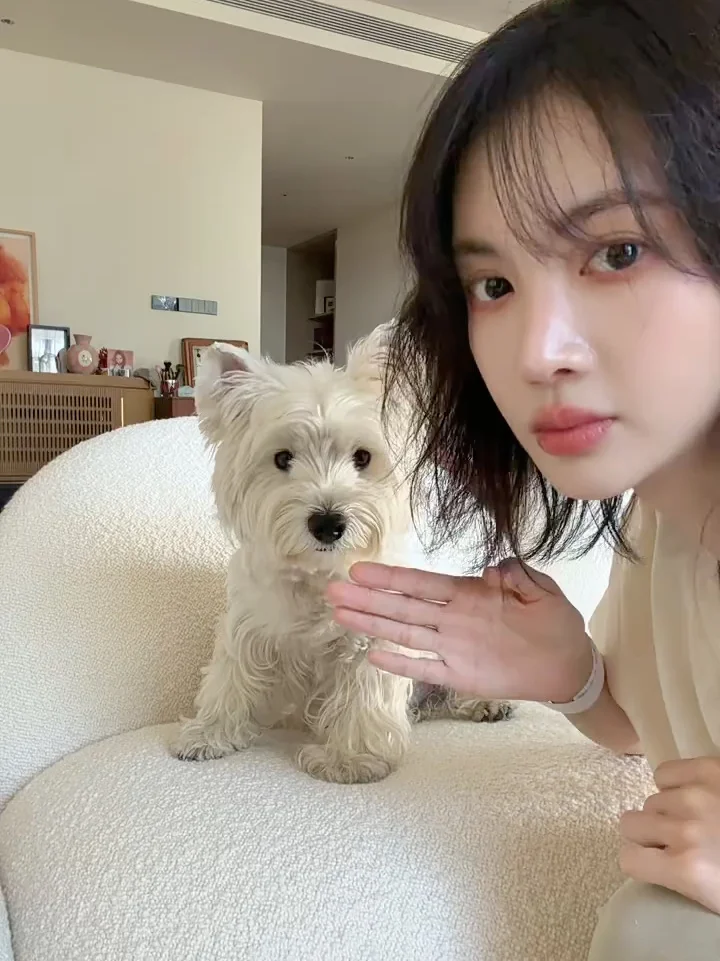 这里有两只乖