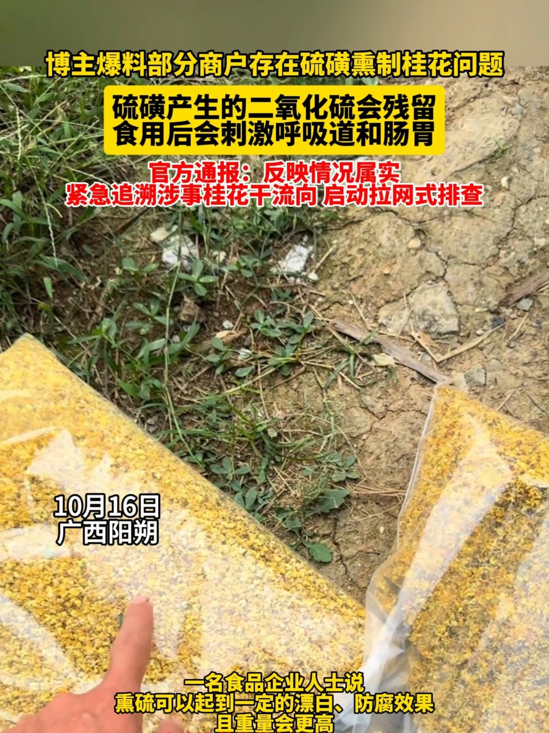 食品安全无小事！10月16日，一名博主曝光部分桂花加工点存在硫磺熏制桂花的违法行为，据了解，熏硫会让