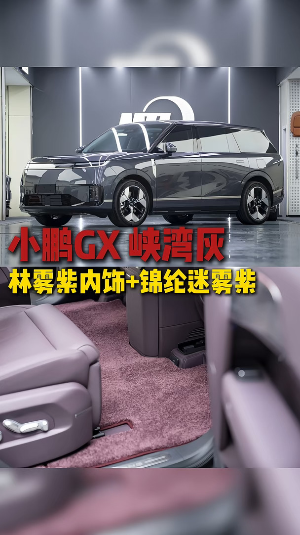 小鹏GX，搭配这样的全包脚垫，真的太高级