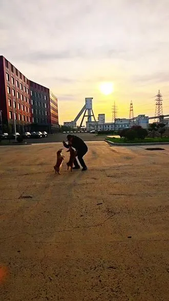 一次偶然，有缘做了它的主人。从此，我们朝夕相伴，不离不弃，相互温暖，用生命取悦生命……！