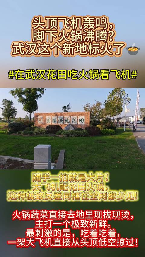 #在武汉花田吃火锅看飞机#38%的回头率是什么概念？每3个游客就有1人二刷