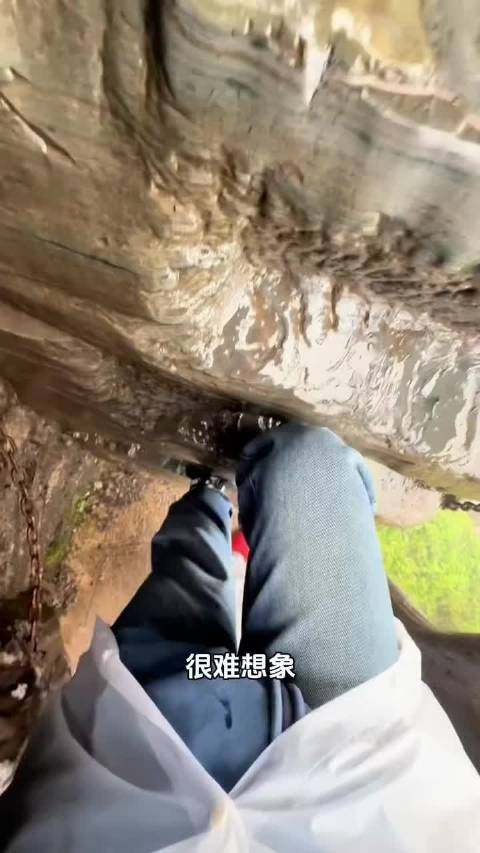 这个互联网果然谁都可以分享日常，包括一只岩羊