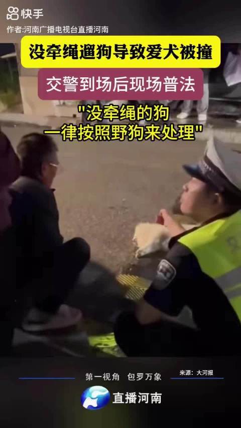 #交警称不拴绳狗被撞死按野狗处理#“野狗”这个说法在法律上经不起推敲。宠物狗不因未牵绳就丧失私有财产