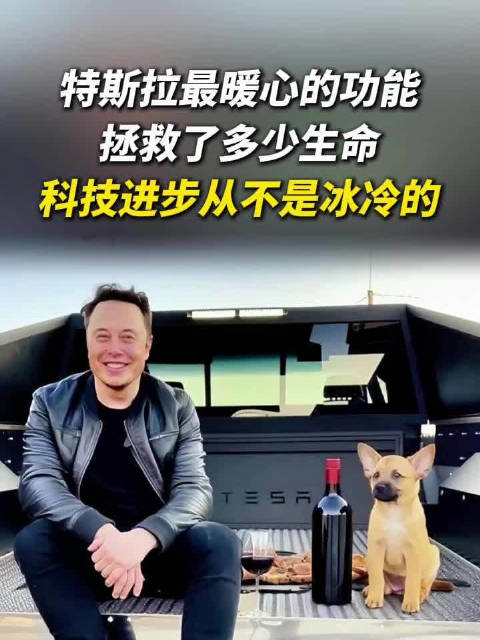 #特斯拉#马斯克##新能源汽车[超话]##宠物##特斯拉宠物模式#