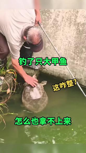大爷钓了一只大甲鱼