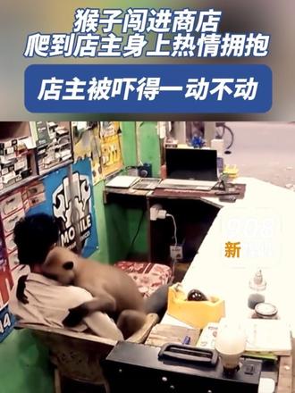 猴子闯进商店，与店主热情拥抱，店主完全不敢动。