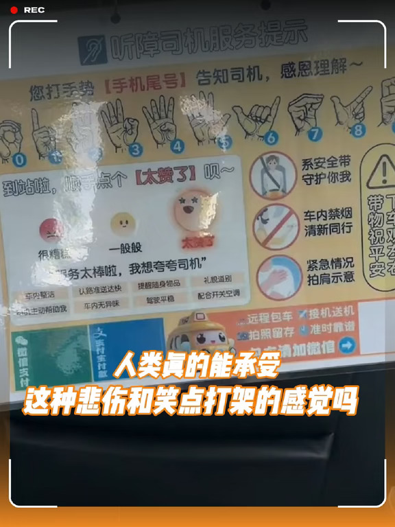 人类真的能承受这种悲伤和笑点打架的感觉吗