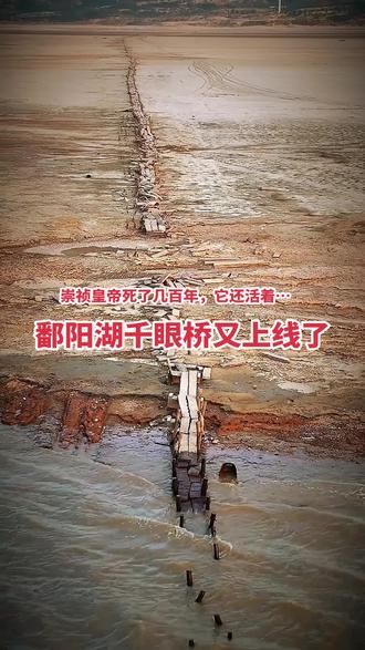 千眼桥又现身了 每年枯水期才会现身的鄱阳湖千眼桥，最近又露面了！目前星子站水位10.44米，刚好达到