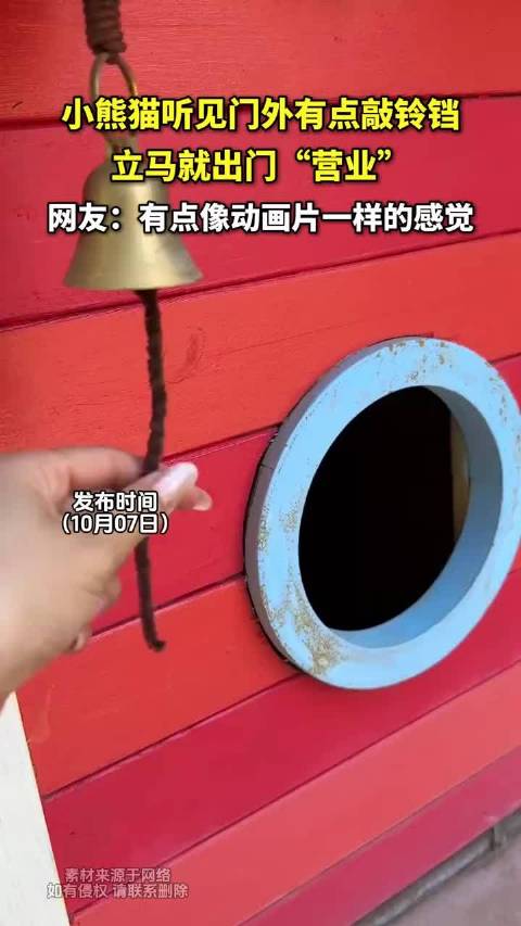 小熊猫听见门外有点敲铃铛，立马就出门“营业”。。。