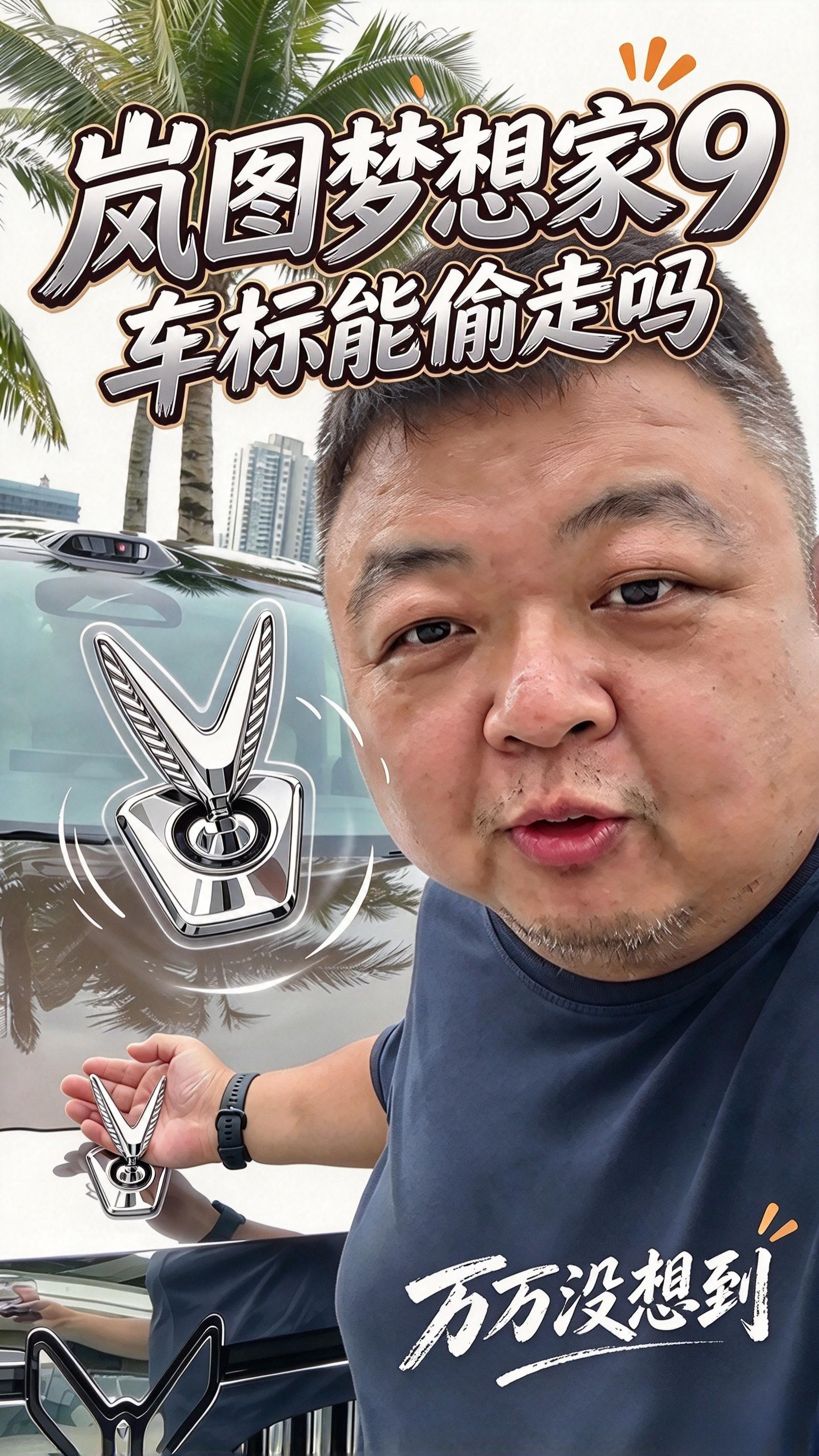 岚图梦想家9车标能偷走吗？