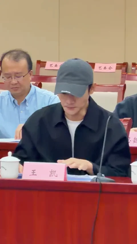 «交锋»研讨会，王凯发言直拍