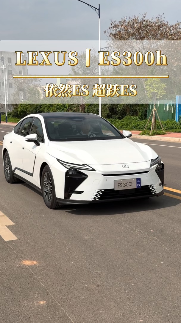 开奥迪 A6L 有气场，还是雷克萨斯 ES300h？#依然ES超跃ES #雷克萨斯ES #进口车 #