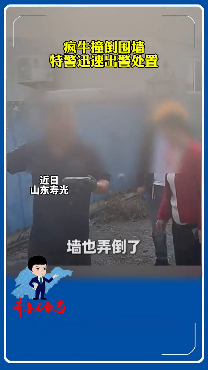 疯牛撞倒围墙，特警迅速出警处置