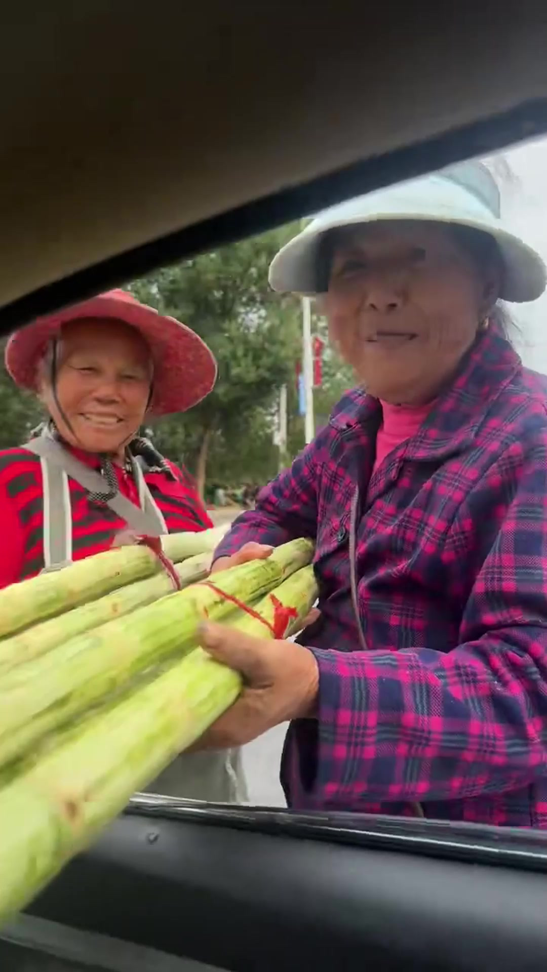 江西人民太热情了！男子准备离开时奶奶拿甘蔗堵车，要男子收下