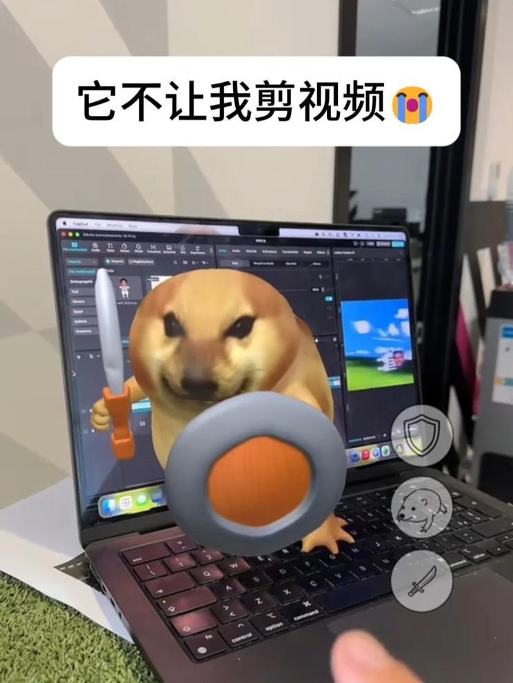 今天没有抽象视频看了😩