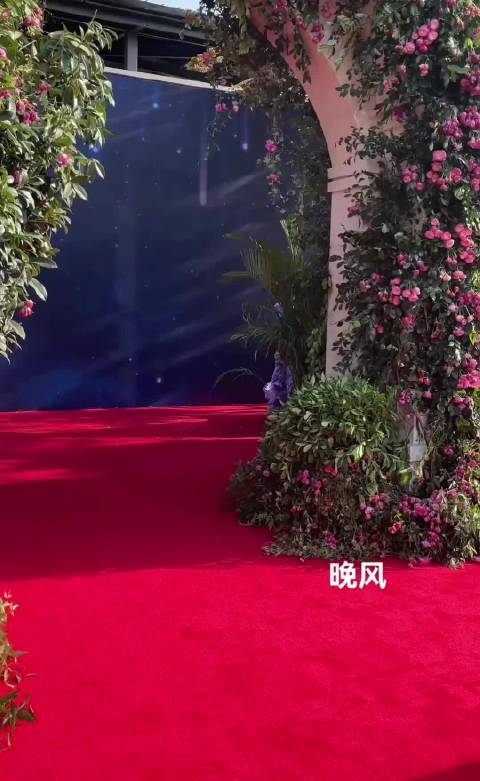 刘亦菲走这场红毯时是冬天，走出来的瞬间春天扑面而来，有种春机盎然