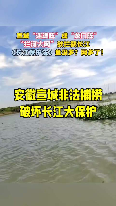 无论长江有没有禁渔，地笼、迷魂阵、拦河网等非法捕捞的工具在任何自然水域都是禁用的，但是在安徽宣城这个