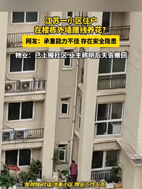 #江苏一居民疑翻越高楼外墙腰线养花# 【江苏一小区住户在楼栋外墙腰线养花】