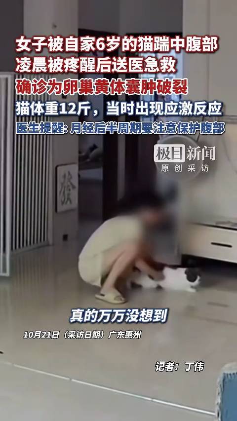 【太痛了！广东#女子被猫踹一脚腹腔出血1000毫升# 医生提醒】