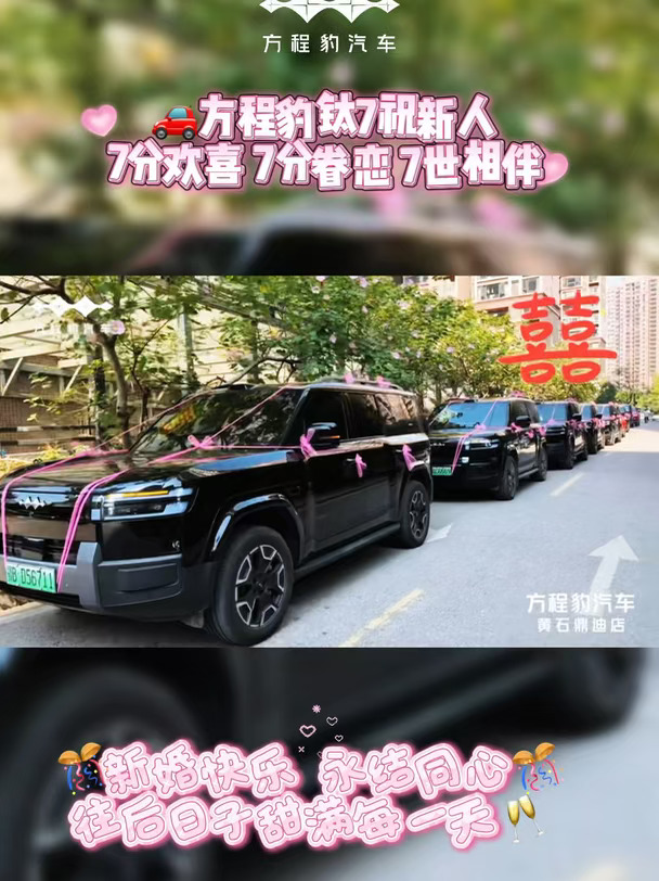 方程豹钛7㊗️新人