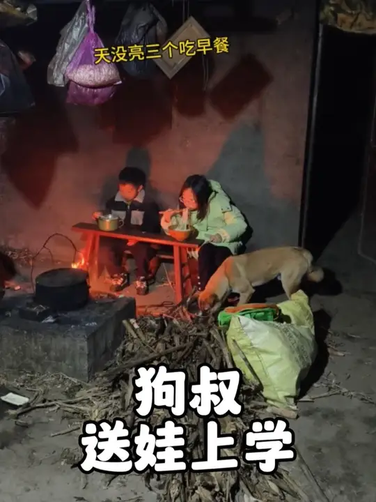 这要是没考上985，最对不起的就是狗叔了