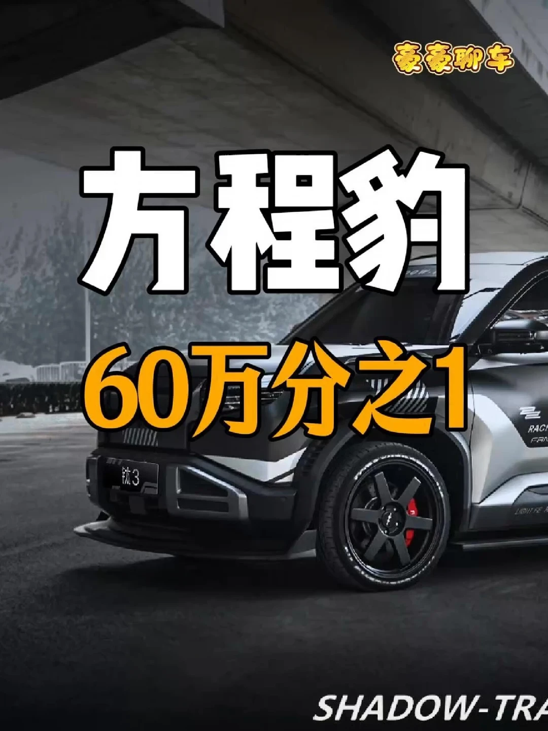 方程豹的60万分之1