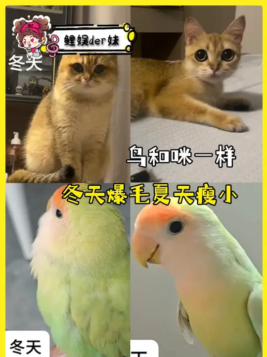 差点以为亏待它们了，没想到是脱下了棉袄么...