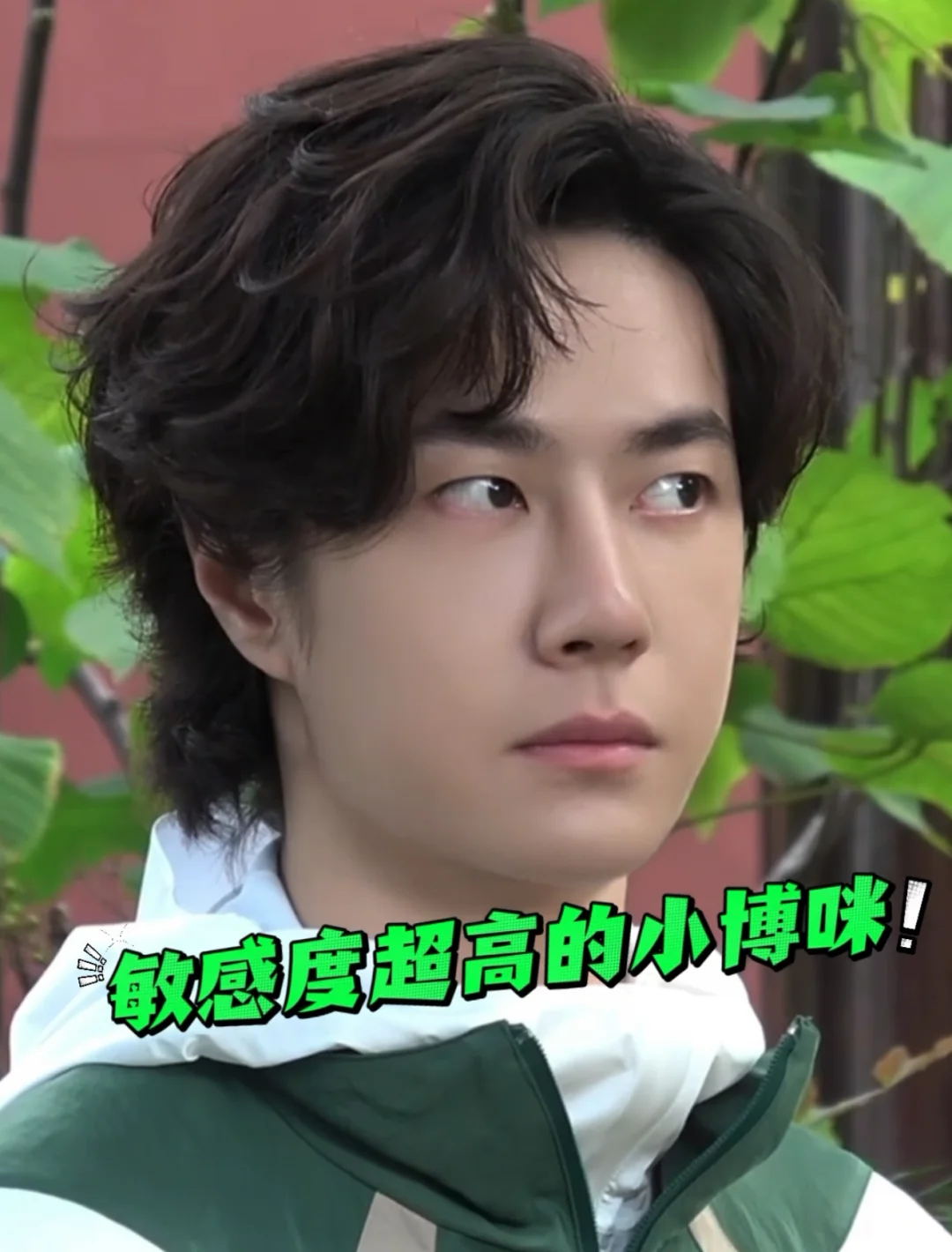 超绝敏感小豹咪，嗷呜