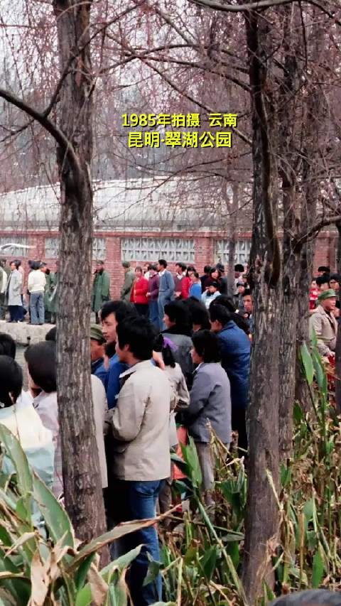 #1985年的翠湖，是春城一段温柔的开篇1985年昆明翠湖公园，聂耳塑像刚刚落成，这一年，第一批红嘴