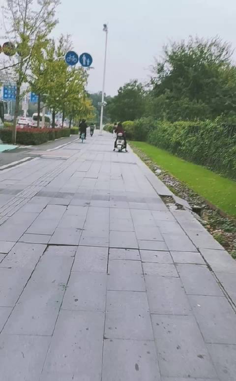 🌊 🌊        星期五的早上，我骑电动车送笛崽上学，送完以后，我再把车停回家，换上自行车，骑到